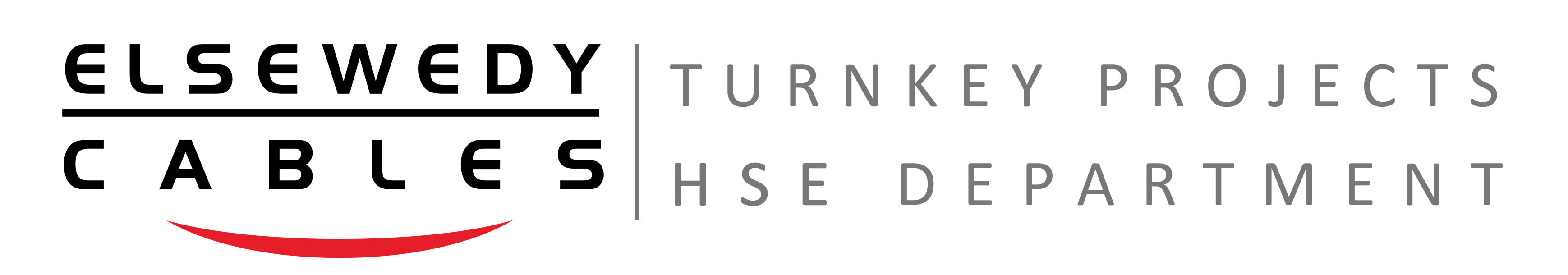 TURNKEY Logo